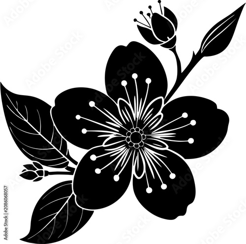minimalist line art