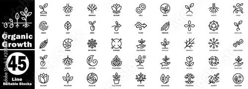Obraz na plátně Organic growth line icons