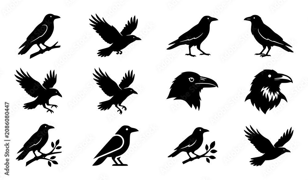 Obraz premium Crow silhouette icon set featuring raven black bird perched flying and wildlife vector collection