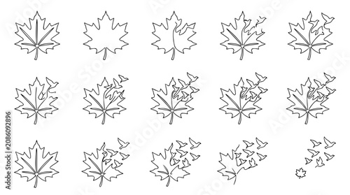 Photos Maple Leaf Dissolving into Flying Birds Silhouette - Autumn Concept
