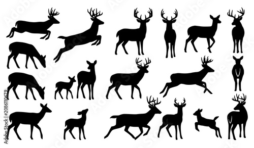 Foto Set of whitetail deer silhouettes with fawn including running jumping grazing an