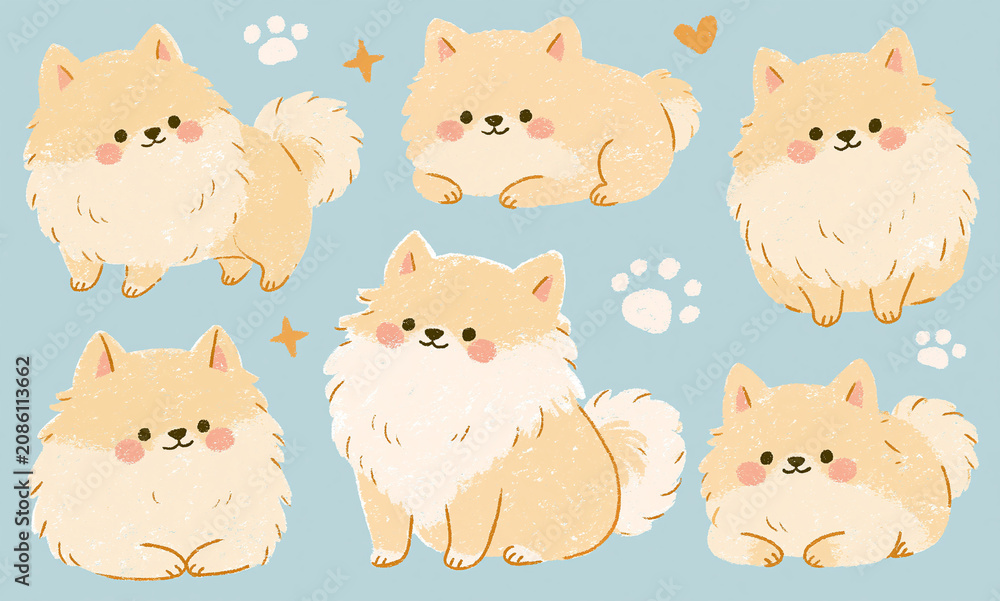 Obraz premium Toy Pom dog illustration clip art several positions