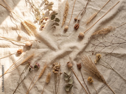 Dried botanicals arranged on raw linen in warm window light — natural impermanence as an editorial background. Ideal for artisan, wellness, stationery, autumn, and lifestyle design backgrounds.