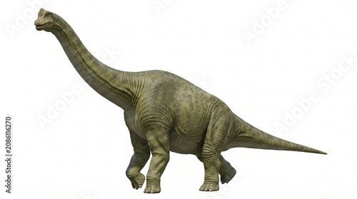 Majestic Brachiosaurus dinosaur, a towering long-necked sauropod, ancient prehistoric reptile, isolated on a clean white background, perfect for educational content and historical themes.