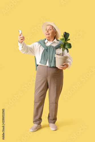 Senior gardener with plant ...