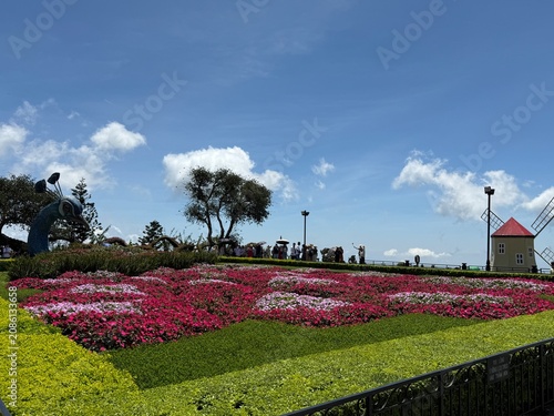 Beautiful Flower Garden at Ba Na Hills in Vietnam
