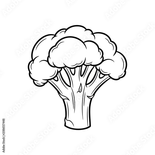 Fresh organic broccoli vegetable plant sketch drawing featuring detailed foliage and stem structure for healthy diet nutrition meal preparation themes suitable for culinary educational and
