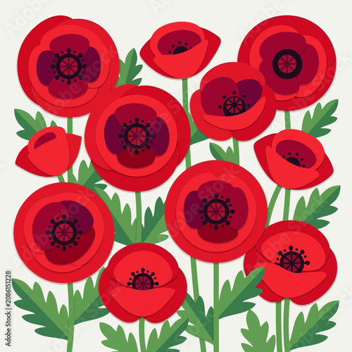 Red Poppies Field Illustration
