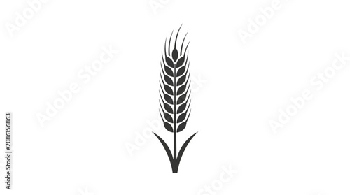 Minimalist Wheat Ear Icon Vector Graphic