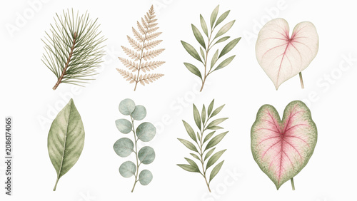 Green Set Variety of Leaves isolated watercolor vector illustration svg