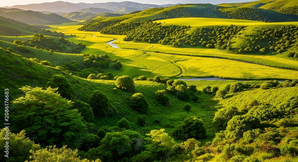 Fototapeta premium Beautiful rolling green hills landscape with golden sunlight at sunset.