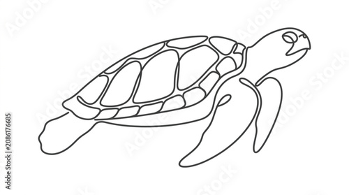  Sea turtle continuous line drawing marine wildlife conservation concept vector graphic on white background