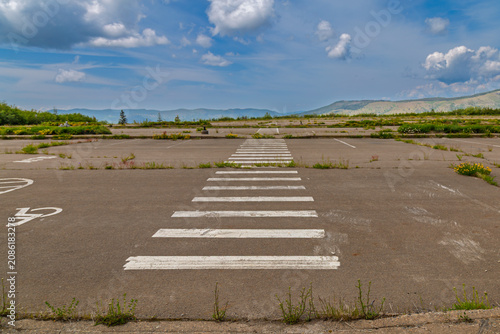 Overgrown Parking Lot at Mount St Helens
