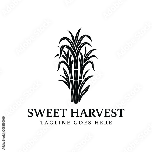 Sugarcane plant stalk leaves for sweet sugar harvest farm agriculture natural organic food product plantation industry rural nature logo design