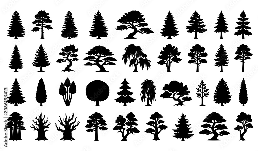 Fototapeta premium Evergreen Pine and Fir Tree Silhouette Icon Collection Black Vector Illustration
