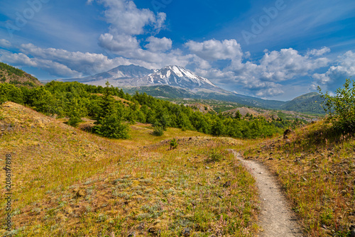 Mount St. Helens Trail Landscape