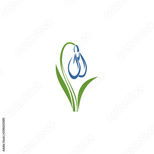 A stylized, modern vector illustration of a snowdrop flower, representing nature, spring, growth, and gentle beauty.