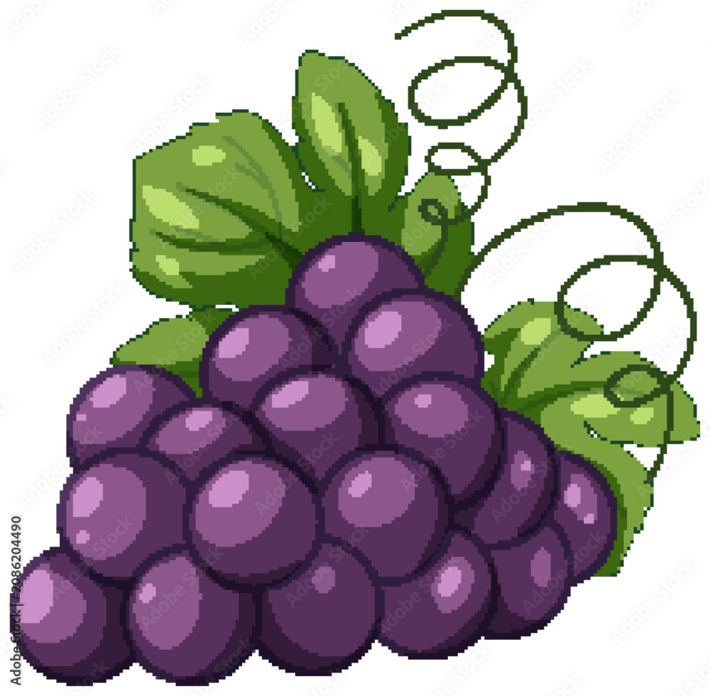 Obraz premium Purple Grape Bunch with Green Leaves and Curly Vines Vector Illustration