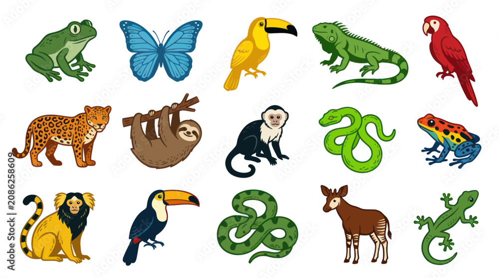 Fototapeta premium Flat Vector Illustration of Diverse Exotic Animals in Amazon Rainforest