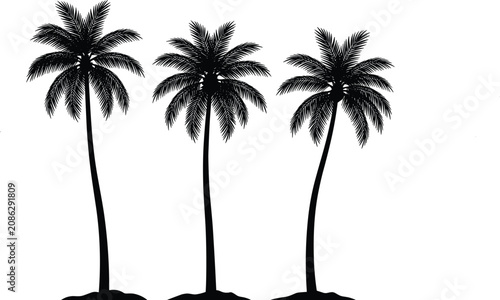 Tropical Coconut Palm Tree Silhouette Set with Realistic Beach Vector Collection