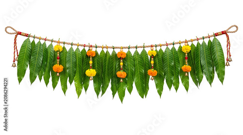 Traditional Indian festive toran made of fresh green mango leaves and marigold flower garlands, isolated on a transparent background