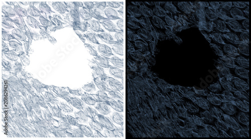 Bild auf Leinwand Microscopic cell structure tissue sample, biological histology slide cross secti