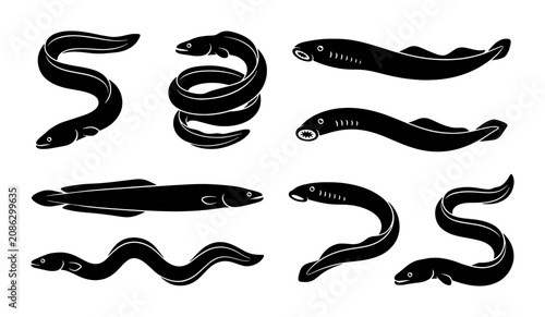 Foto Set of Black Silhouette Eels and Lampreys, Marine Life Vector Illustrations, Aqu