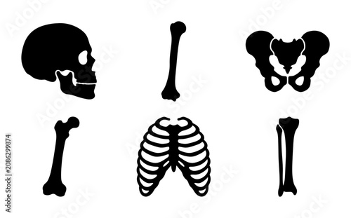 Foto Human Skeleton Anatomy Icons, Black Silhouette Vector Set: Skull, Rib Cage, Pelv