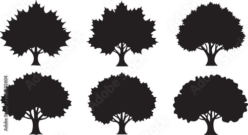 Silhouettes of deciduous trees with full foliage isolated on transparent background.
