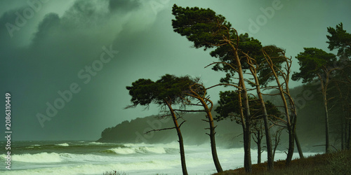 Strong wind blowing pine trees along rugged sea coastline during stormy dark weather with heavy grey clouds and turbulent water.