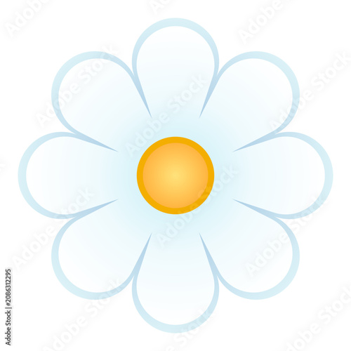 Cute white daisy flower vector illustration, chamomile blossom cartoon icon isolated, simple spring floral element