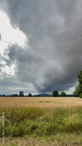 Approaching thunderstorm above golden grain field - Dark storm clouds moving over a ripe grain field with a solitary tree. Dramatic summer weather, agriculture, climate, changing seasons and rural lan