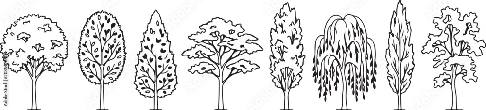 Fototapeta premium Set of hand drawn deciduous and coniferous trees isolated on white background as black line art vector