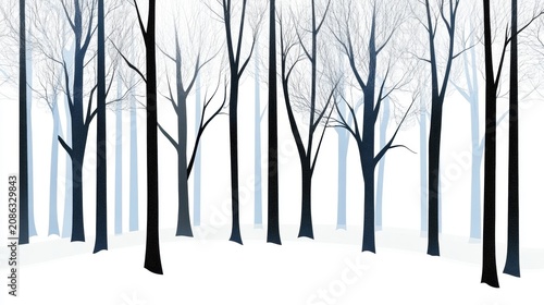 Bare trees in a winter forest with snow white