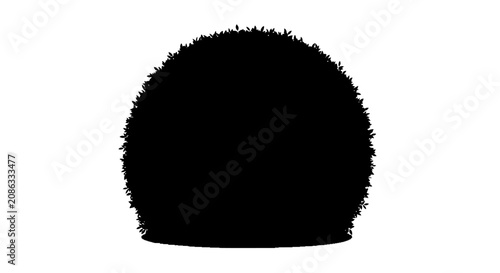 Fotografía Stark black silhouette of a minimalist subject isolated on a plain white background, high contrast vector illustration for graphic design, clean lines and professional cut out