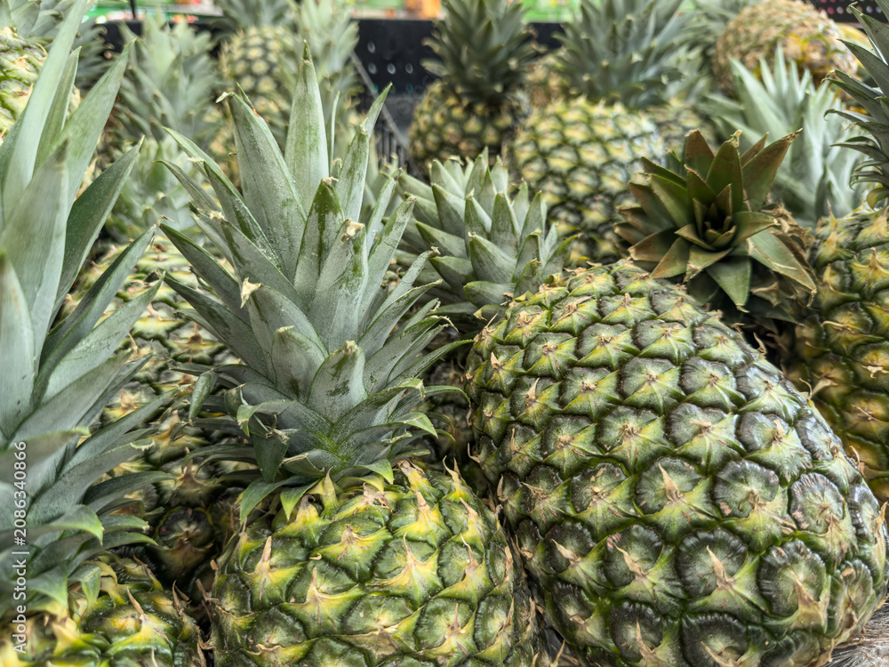 Obraz premium Tight Group of Fresh Pineapples with Spiky Crowns
