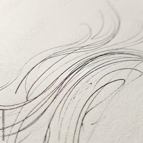 Elegant white feather with intricate patterns and texture.