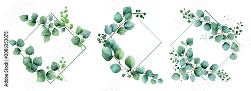 Photography Eucalyptus leaves and branches gracefully outlining three distinct diamond frames