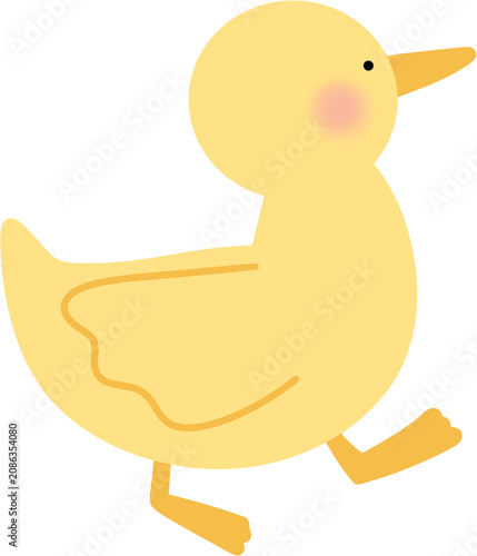 Fotografie Walking Duckling Vector Illustration