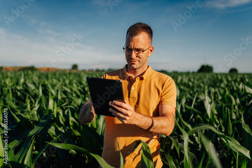 Bild auf Leinwand Farmer using digital tablet in cornfield for smart agriculture
