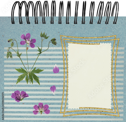 Photo album layout with empty photo frames. Page for stories. Scrapbook composition with floral elements. Page from an old photo album. Dried pressed geranium flowers. For invitations und greetings.