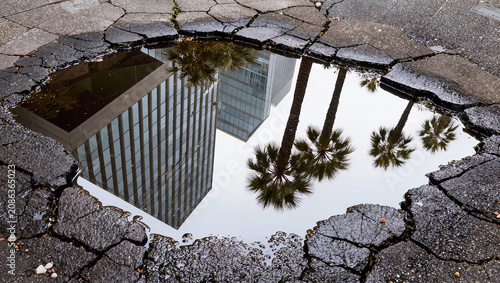 City reflection in puddle on cracked asphalt, modern buildings and palm trees