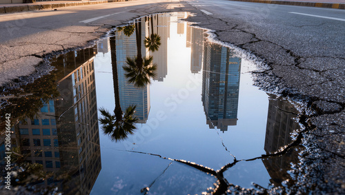 City skyline reflection in street puddle after rain, palm tree, urban landscape
