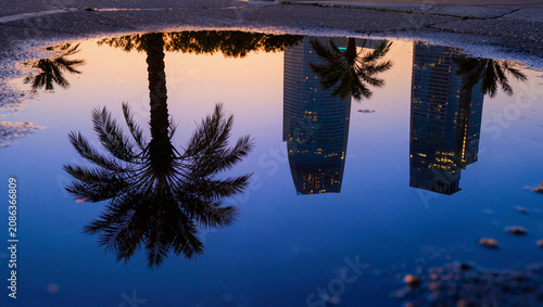 City skyline with palm tree reflection in wet asphalt at sunset.