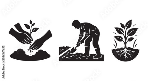 Foto Planting And Growing Tree Stages Depicted As Black Silhouette