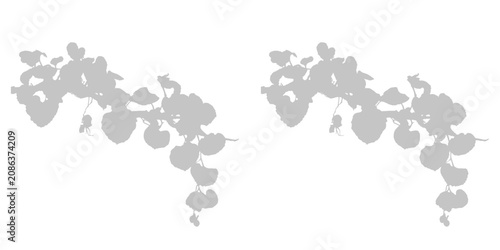 Фотография Transparent background with a gray silhouette of an ivy plant with numerous heart shaped leaves on vine