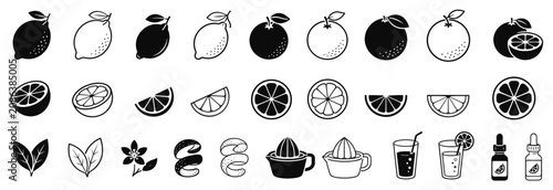 Set of black and white citrus icons showing lemon and orange fruits, slices, juice, leaves, a flower, peel, a squeezer, and an essential oil bottle in a simple graphic style