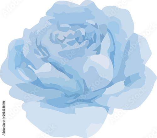 Soft Pastel Blue Rose Flower Watercolor Illustration