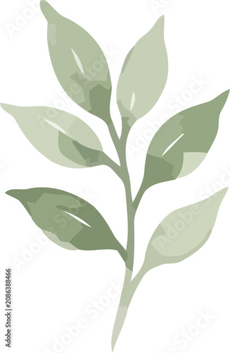 Watercolor Leaf Branch Illustration