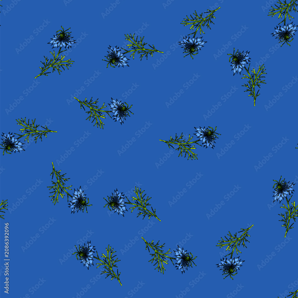 Fototapeta premium pattern medicine nigella sativa hand drawn. petal caraway, oil plant, asian health medicine nigella sativa vector sketch illustration